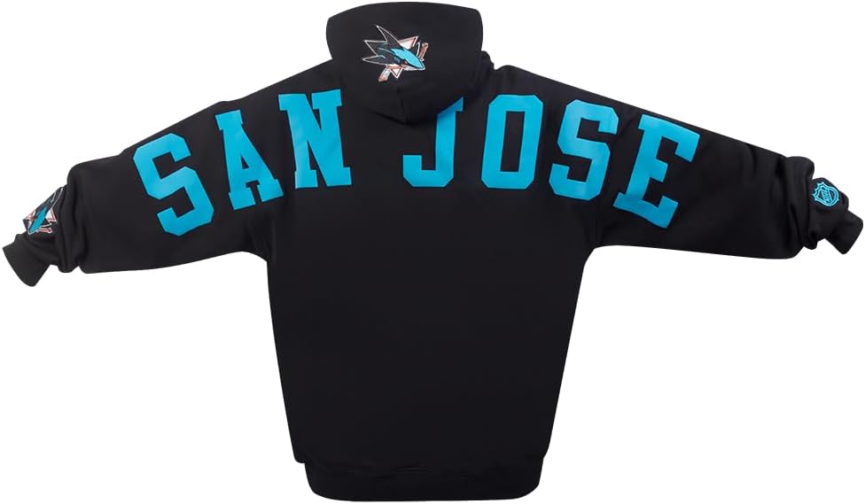 Pro Standard NHL mens Mens Nhl Wingspan Fleece Pull Over Hoodie