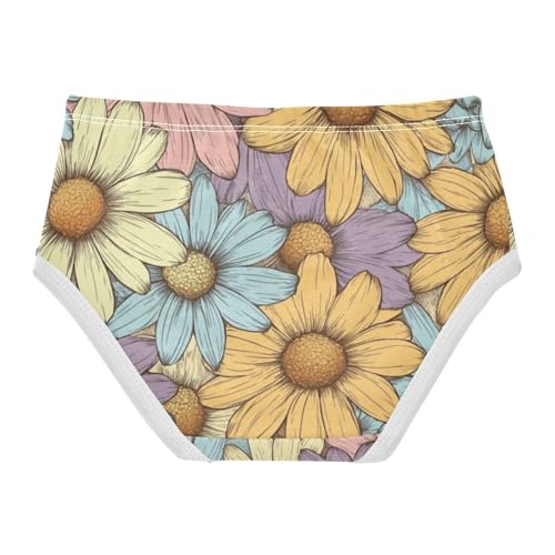 ZZKKO Farmhouse Daisy Flower Girls Underwear Toddler Panties for Girls Comfort Brief Size 2T-8Y2