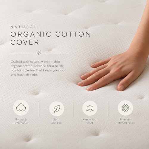 Image of Springtek Supernova Premium Hybrid Latex Mattress Queen Size 75x60 | Medium Firm 6 Inches 100% Natural GOLS Certified Pincore Dunlop Latex Mattresses | 3 Layer HD Foam Orthopedic Bed Gadda|75x60 Inch