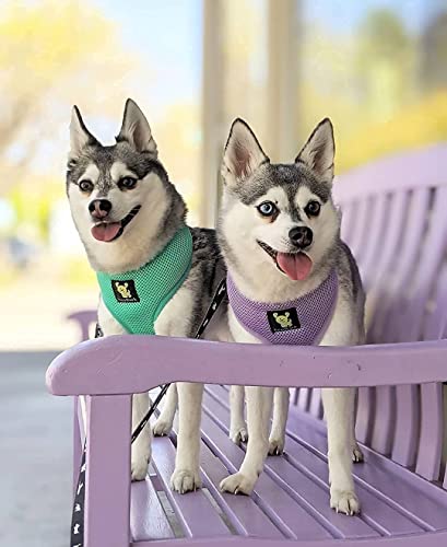 Image of Classic Dog Harness Innovative Mesh No Pull No Choke Design Soft Double Padded Breathable Vest for Eco-Friendly Easy Control Walking Quick Release for Puppies Toy Breeds & Small Dogs (Sm, Lavender)