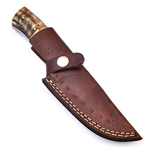 Sharpworld 8 Inches Beautiful Damascus Knife Made Of Remarkable Damascus Steel Ram Handle -Ideal Hunting Knife With Sheath Tj108 #TOP5