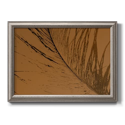 Canvas Prints Wall Art Black Feather on Brown Background Painting Picture Modern Abstract Artwork Home Décor Silvery Framed Wall Decorations for Kitchen and Bedroom 20x28 Inch LS005