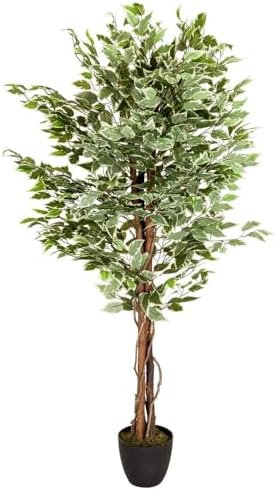HJH Office Artificial Plant FICUS Benjamini Height 165 cm Green/W...