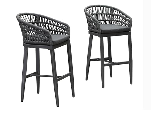 PURPLE LEAF Outdoor Rattan 29" Bar Stools Set of 2, Modern Boho Aluminum Patio Bar Height Chair with Cushion and Back for Outdoor and Indoor, Grey