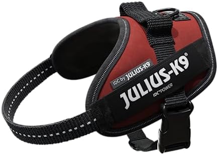 Julius-K9, 16IDC-P-B2, IDC Powerharness, dog harness, Size: Baby 2, Black