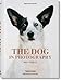 The Dog in Photography 1839Today (Bibliotheca Universalis) (Multilingual Edition)