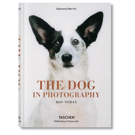 The Dog in Photography 1839–Today