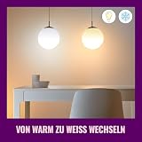 WiZ Lampadina Smart WiFi, Luce Bianca o Colorata, Dimmerabile, E14, 4.9W, Controllo tramite app o Controllo Vocale (Alexa, Apple HomeKit, Google Home) - 12