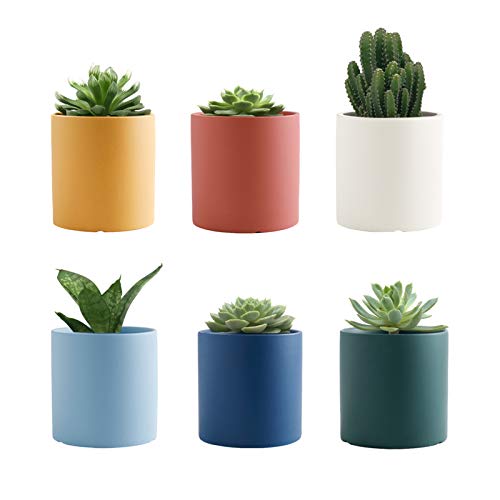 Gdamal Ceramic Small Plant Pots, 3.1 Inch Morandi Color Succulent Pots with Drainage Holes, Flower Pot Container for Indoor Outdoor, Set of 6(Plants NOT Included)