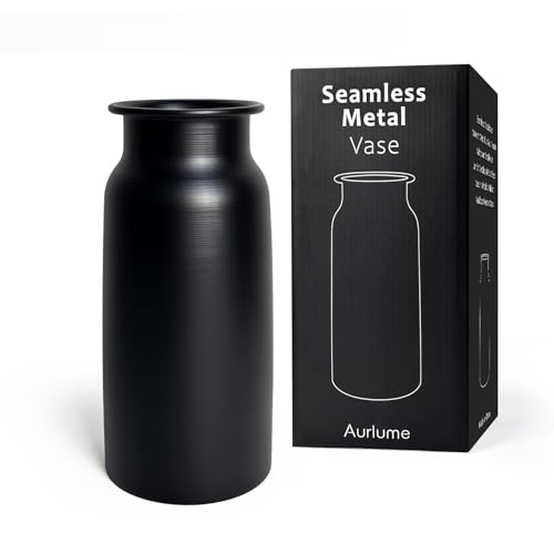 Vase en Métal Noir Mat Moderne, Vase à Fleurs de 27,5 cm de Haut, sans Soudure et Étanche, Vase Décoratif Incassable pour Salon, Loft et Bureau
