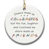 SOL VIBES Coworker Xmas Hanging Ornaments, Motivational Gift for Colleague Women Friend Coworkers Leaving - Retirement Social Worker BFF Ornament Keepsake Gifts
