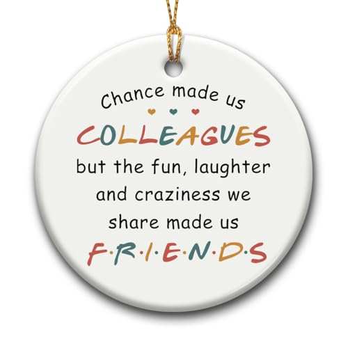 SOL VIBES Coworker Xmas Hanging Ornaments, Motivational Gift for Colleague Women Friend Coworkers Leaving - Retirement Social Worker BFF Ornament Keepsake Gifts