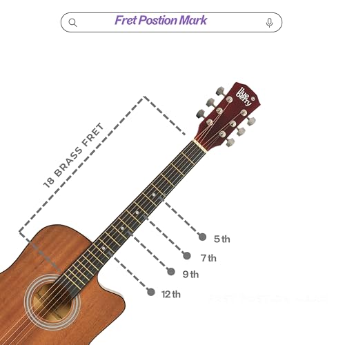 Image of Blueberry B-D38, 38 inch Acoustic Guitar Kit Inbuilt Truss Rod, with Bag, Strap, One Pack Strings And Picks (SAPELE BROWN)