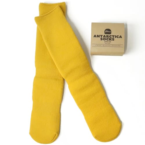 �C�� �C�G�e�B�i YETINA Antarctica Socks �����Y ���f�B�[�X �\�b�N�X �L�����v �A�E�g�h�A ��O�t�F�X ���� MADE IN JAPAN ���{�� �y���K��T�C�Y���ɂ��邽�ߑܓ��꒼���Ń��[���֔����z (Chrome Yellow)