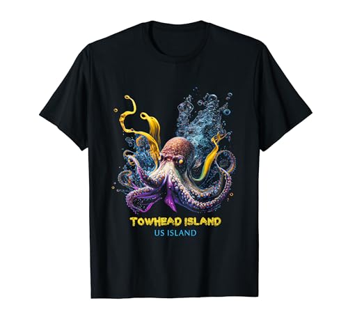 Towhead Island US Island T-Shirt