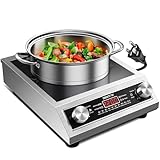 DRINTON Induction Cooker, 2200W Commercial Induction Cooktop, Large Countertop Burner with 10 Cooking Functions & Dual IGBT for Safe Use, Portable Stainless Steel Hot Plate with 3 Hours Timer, 120V