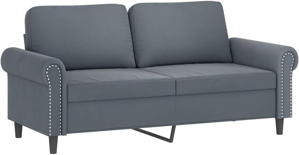 2-Seater Sofa Dark Grey Velvet (100% Polyester) Living Room Furniture