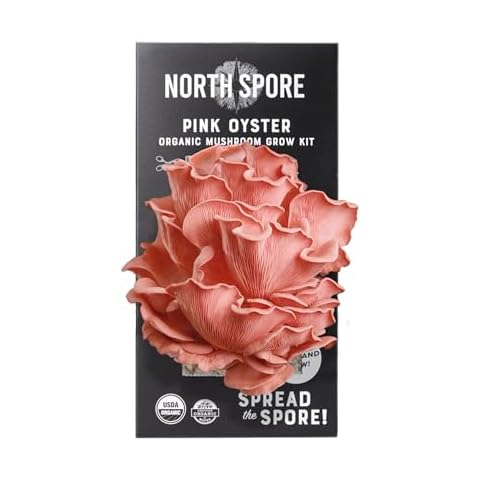 North Spore Organic Pink Oyster Mushroom Spray & Grow Kit (4 lbs) | USDA-Certified Organic, Non-GMO, Beginner-Friendly & Easy to Use | Handmade in Maine, USA Cover