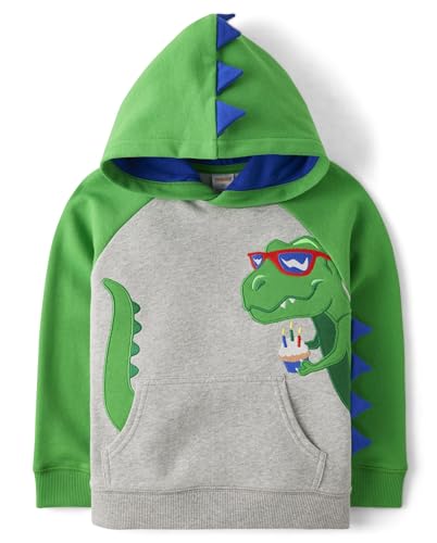 Image of Gymboree Boys' And Toddler Boys Long Sleeve Hoodie Sweatshirt