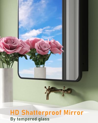 Image of 19.7 inchx31.5 inch Black Medicine Cabinet with Mirror and Organizer, Arched