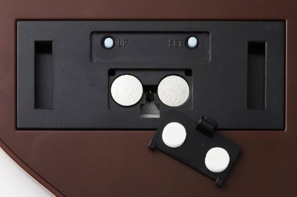 Amazon.co.jp: A BATHING APE 2011 SPRING COLLECTION (e-MOOK) : 本