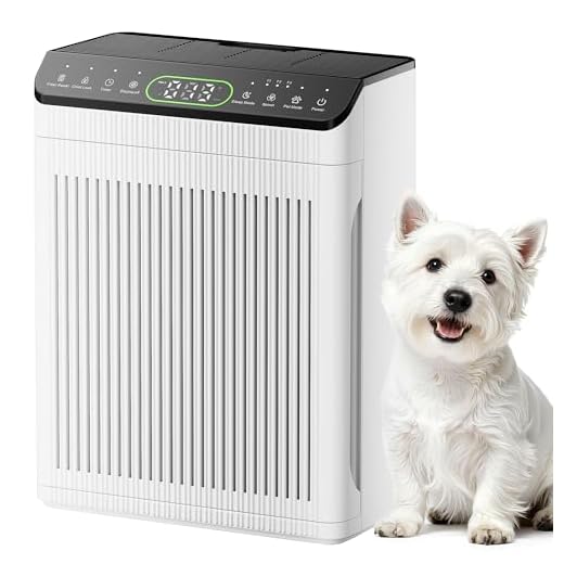 EVALIT Air Purifier with Washable Filters