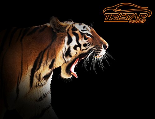 TRISTARcolor 3 in 1 / Rostschutz/Füller/Haftgrund/Spraydose - Sprühdose 400 ml grau – Bild 6