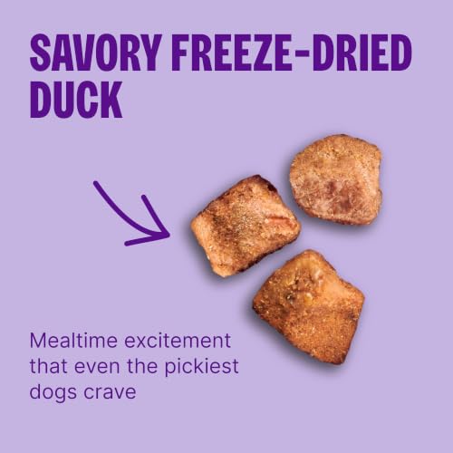 Image of Wellness CORE+ Adult Dry Dog Food with Freeze Dried Pieces, Grain Free Kibble+, Natural, High Protein, Wild Game Duck, Lamb, Boar, and Rabbit Recipe, 4 lb Bag