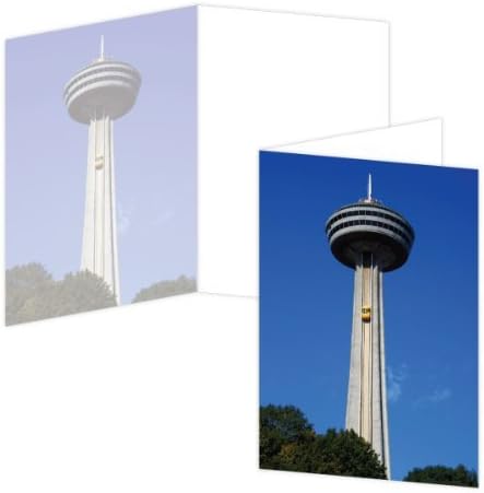 8x8 Poster Print White Rose