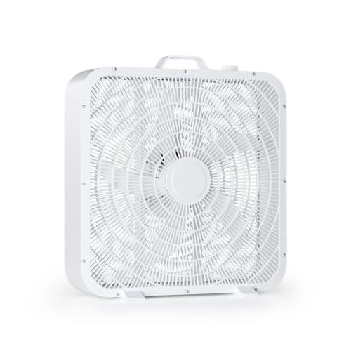Xcity 20-Inch 3-Speed Box Fan