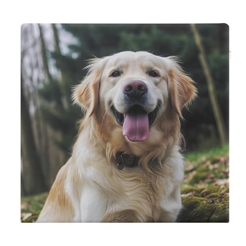 Coussin de chaise Golden Retriever en mousse à mémoire de forme 38cm antidérapant - 2