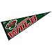 NHL Minnesota Wild WCR57434113 Carded Classic Pennant, 12" x 30"