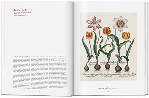 A Garden Eden: Masterpieces of Botanical Illustration