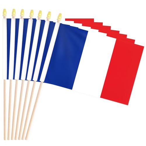 20 Pack Handheld French Flags, Small France Patriotic Mini Flags on Sticks