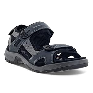 Ecco 06956402038
