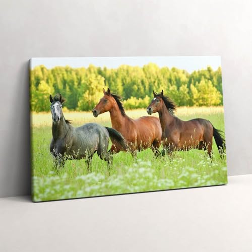 Grand tableaux 60x40cm chevaux dans le pré Wallfluent peinture murale