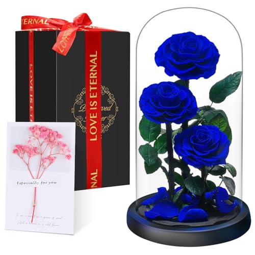 Rosa Eterna en Cúpula de Cristal, Rosa Bella y Bestia, Flores Naturale Preservada, Ideas Rosas Regalos para Día de la Madre, Día de San Valentín, Aniversario,Navidad, Mujer, Mamá, Novia, Abuela