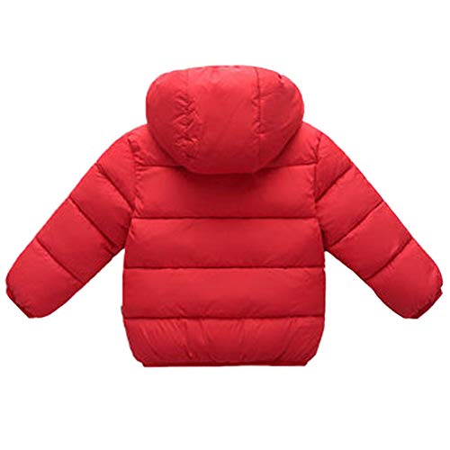LAVIQK 1-7 Years Baby Boys Girls Toddlers Winter Coats Puffer Jacket with Removable Fur Hooded Down Snow Jacket Warm Fleece Coat Outerwear