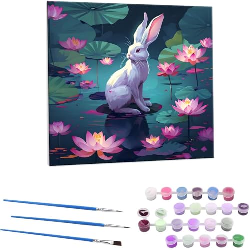 LbgɂG ETM̃nX̉ G LbghG h qƑl S phGLoXNtg|  DIYG fW^G z[ ItBX i 50x50cm (t[X) Z-828