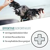 AniGo Ohrentropfen mit kolloidalem Silber 50ml I Für Hunde & Katzen I SEHR GUT bei Ohrentzündungen, Juckreiz, Keime, Pilze und Bakterien, Ohrenpflege, Ohrenhygiene, Gesunde Ohren