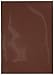 Dragon Shield Deck Protective Sleeves for Gaming Cards, Standard Size, Matte Umber (100 sleeves)