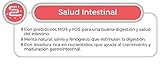 Select Mini Adult Lachs 3 kg 3000 g