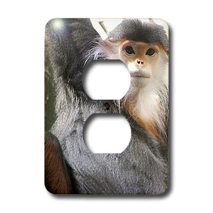 Douc Langur Singe cache-prise lsp_3879_6 pour decoration murale - 3
