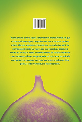 Trópico de capricórnio