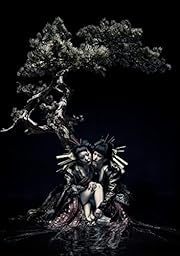 the GazettE LIVE TOUR 12-13(DIVISION)FINAL MELT LIVE AT 03.10 SAITAMA SUPER ARENA (BD) (特典なし) [Blu-ray]