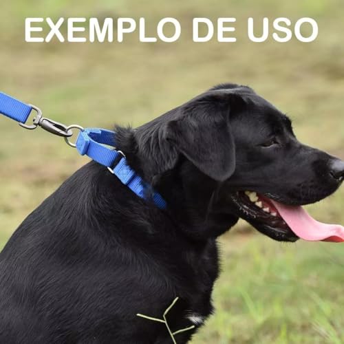 Coleira Ajustável para Cachorro Meio Enforcador Tamanho M Cor Rosa Para Passeios e Adestramento Raça