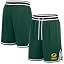 Green Bay Packers, Green