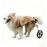 Pet Wheelchair Rear Leg Support, Big Dog Mobility Aid Cart, Heavy-Duty Aluminum Frame, Quick Push-Button Fit, Soft Seat Harness, No-Tool Setup(XXL)