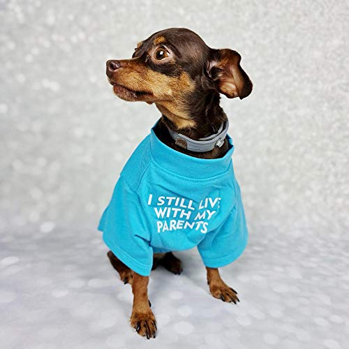 French Bulldog Dog Shirt For Pet Clothes Puppy T-Shirts Cat Tee Breathable Stretchy Costumes Medium #TOP5