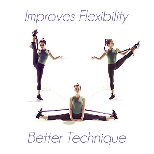 Ttolbi Dance Stretching Equipment: Stretch Bands For Dancers And Ballet Stretch Bands | Dance Stretch Band For Flexibility And Exercise | Dance Stuff | Gymnastics Equipment | Dancer Gifts Girls #TOP2